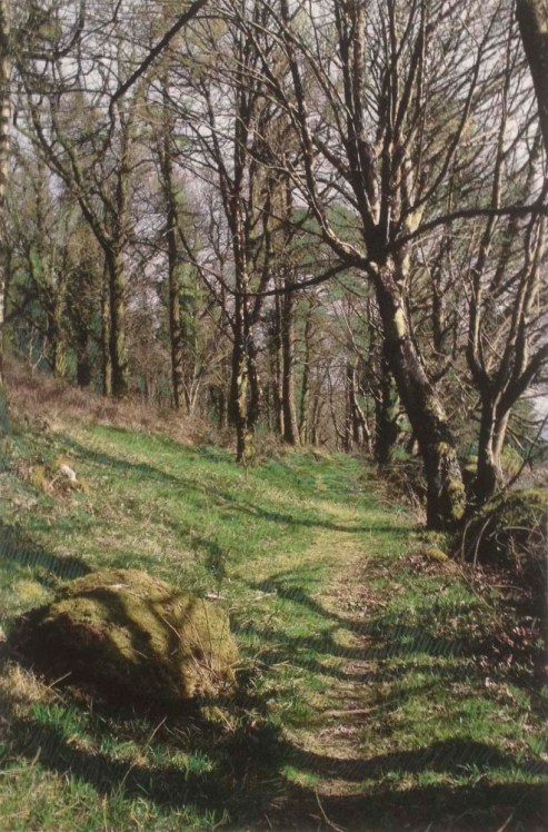 path-drawn-on-aiofe-and-denis-castle
